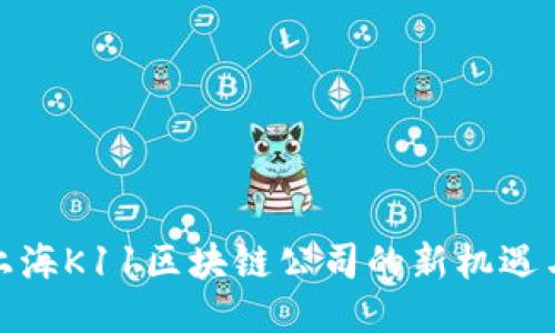 探索上海K11区块链公司的新机遇与挑战