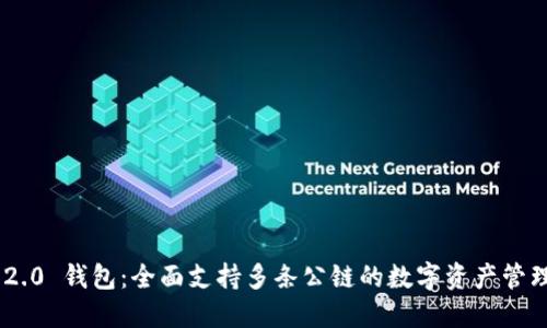 Tokenim 2.0 钱包：全面支持多条公链的数字资产管理解决方案