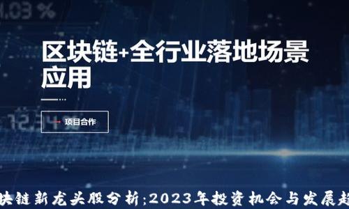 
区块链新龙头股分析：2023年投资机会与发展趋势