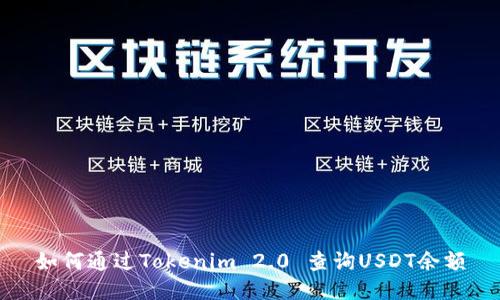 如何通过Tokenim 2.0 查询USDT余额