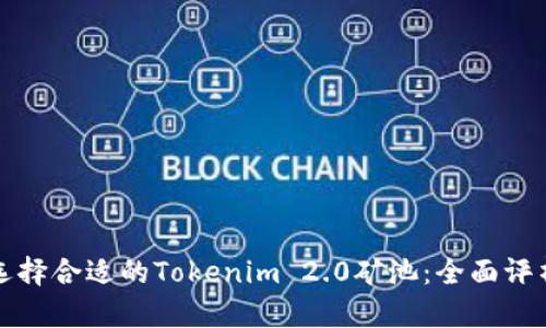 选择合适的Tokenim 2.0矿池：全面评析