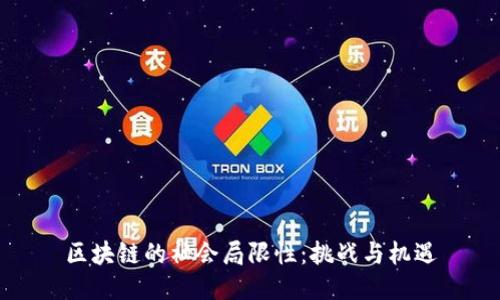 区块链的社会局限性：挑战与机遇