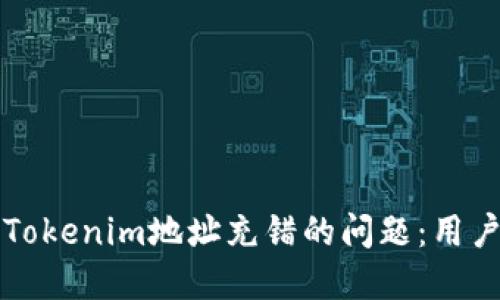 如何解决Tokenim地址充错的问题：用户必读指南