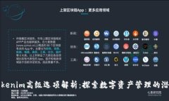Tokenim高级选项解析：探索数字资产管理的潜力