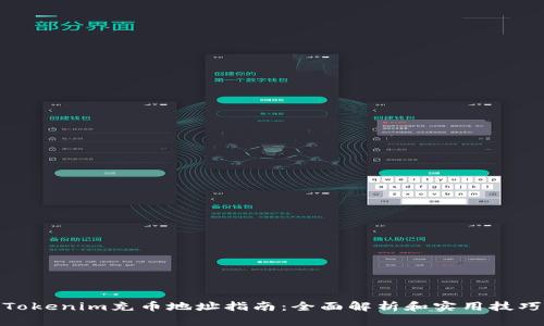 Tokenim充币地址指南：全面解析和实用技巧