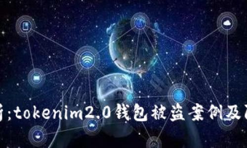 深入分析：tokenim2.0钱包被盗案例及防范措施