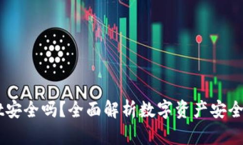 Trust Wallet安全吗？全面解析数字资产安全性与保护措施