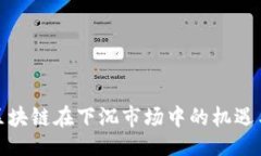 ## 探索区块链在下沉市场中的机遇与挑战
