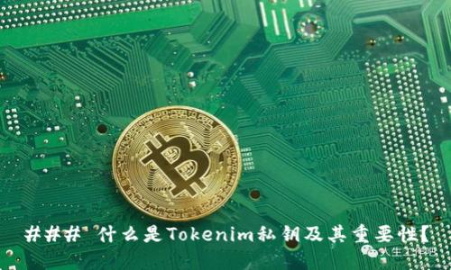 ### 什么是Tokenim私钥及其重要性？