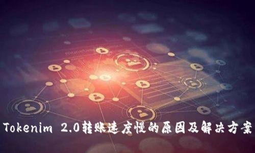 Tokenim 2.0转账速度慢的原因及解决方案