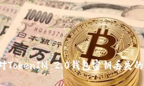  如何应对TokenIM 2.0钱包密钥丢失的紧急指南