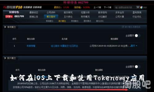 如何在iOS上下载和使用Tokenomy应用