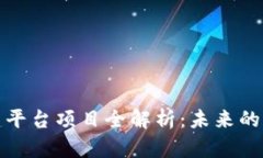 区块链共建平台项目全解析：未来的创新与机遇