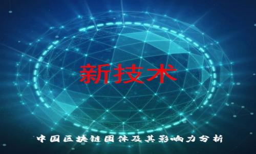 中国区块链团体及其影响力分析