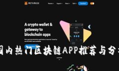 国内热门区块链APP推荐与分析
