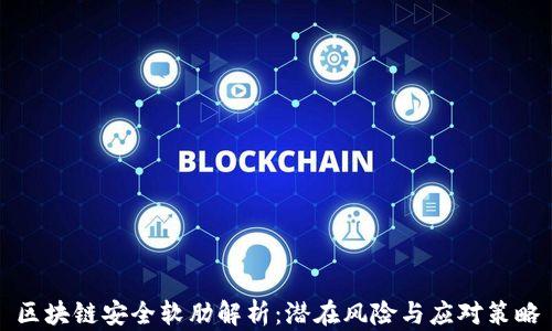 
区块链安全软肋解析：潜在风险与应对策略