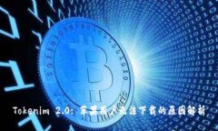 Tokenim 2.0: 苹果用户无法下载的原因解析