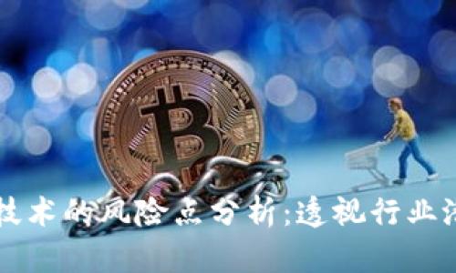 区块链技术的风险点分析：透视行业潜在挑战