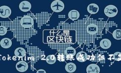 如何解决Tokenim 2.0转账成功但不显示的问题