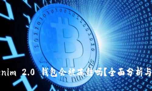 Tokenim 2.0 钱包会被冻结吗？全面分析与解答