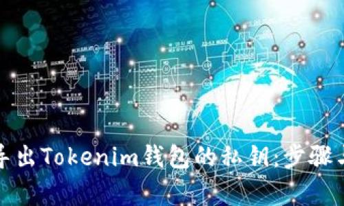 如何安全导出Tokenim钱包的私钥：步骤与注意事项