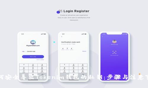 如何安全导出Tokenim钱包的私钥：步骤与注意事项