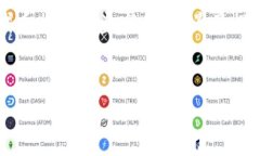 由于“tokenim盗u”并不是一个广为人知的术语或事