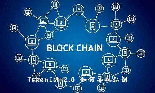 TokenIM 2.0 如何导入私钥