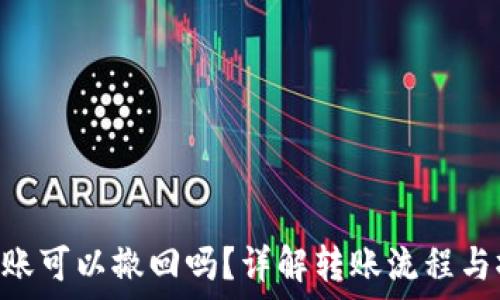   
Tokenim转账可以撤回吗？详解转账流程与撤回可能性