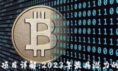 区块链交易所项目详解：2023年最具潜力的交易平