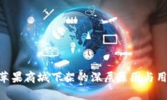 Tokenim被苹果商城下架的深层原因与用户影响分析