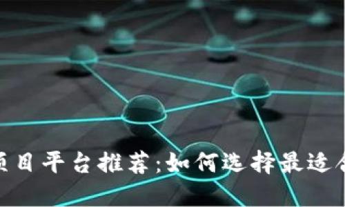 : 海外区块链项目平台推荐：如何选择最适合你的投资机会