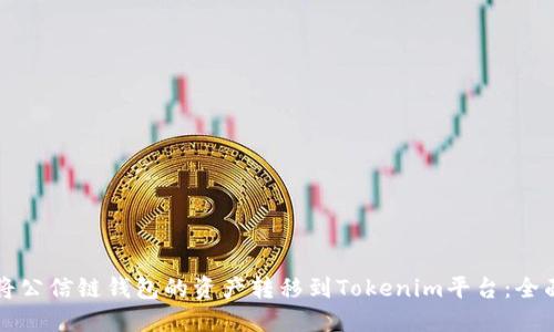 如何将公信链钱包的资产转移到Tokenim平台：全面指南