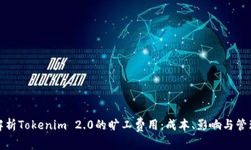 深入解析Tokenim 2.0的旷工费用：成本、影响与管理策略