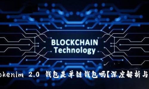 ### Tokenim 2.0 钱包是单链钱包吗？深度解析与使用指南
