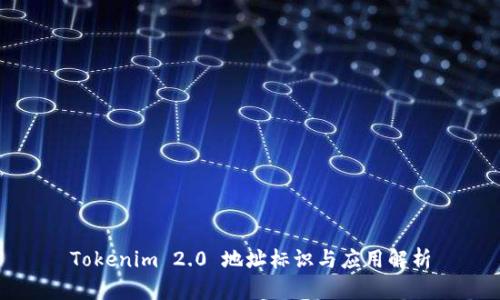 Tokenim 2.0 地址标识与应用解析