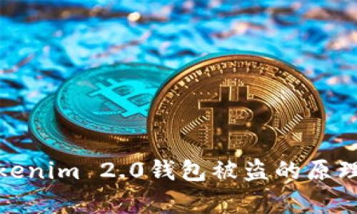 深入解析Tokenim 2.0钱包被盗的原理与防护措施