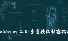 Tokenim 2.0：多重授权解密指南