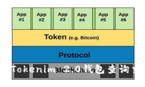 如何通过Tokenim 2.0钱包查询交易记录？