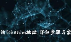 如何查询Tokenim地址：详细步骤与实用技巧