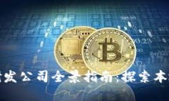 海南区块链研发公司全景指南：探索本地创新与
