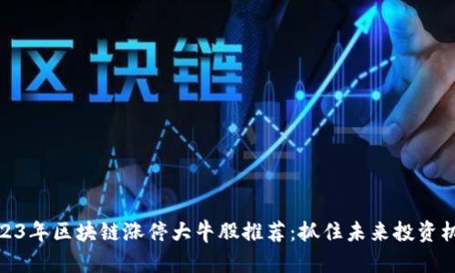 2023年区块链涨停大牛股推荐：抓住未来投资机会
