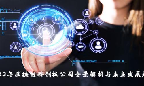 2023年区块链科创板公司全景解析与未来发展趋势