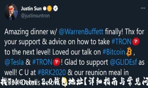 
如何查找Tokenim 2.0钱包地址？详细指南与常见问题解答