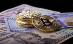 解读Tokenim身份钱包：新一代区块链身份管理工具