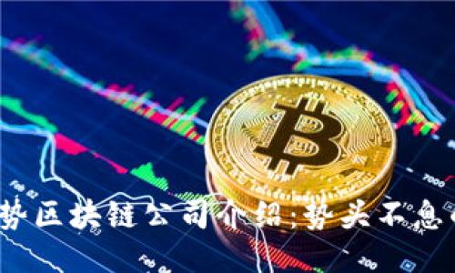 2023年强势区块链公司介绍：势头不息的行业领袖