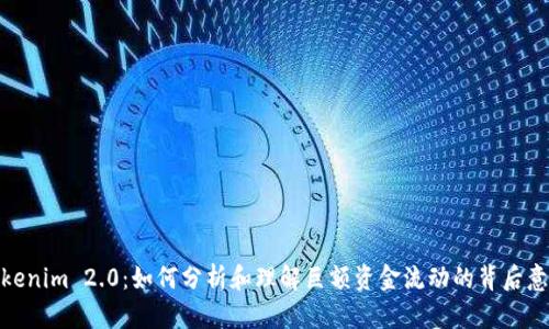 Tokenim 2.0：如何分析和理解巨额资金流动的背后意义