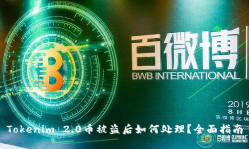 Tokenim 2.0币被盗后如何处理？全面指南