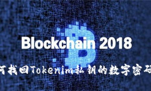 ### 如何找回Tokenim私钥的数字密码：详尽指南