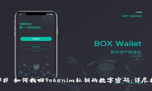 ### 如何找回Tokenim私钥的数字密码：详尽指南